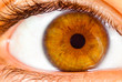 Human eye close up ...