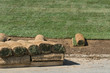 sod grass on a pallet
