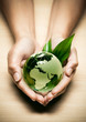 concept écologie planète terre verte concept écologie planète terre verte