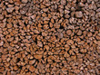 Photo: Holz Holz