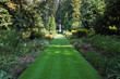 Green grass road