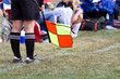 Photo: Assistant Referee Assistant Referee