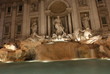 trevi fountain - Rome