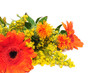 Blumen