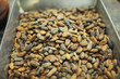 Cocoa beans