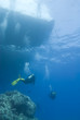 Scuba divers heading toward the dive boat, visible in the backgr