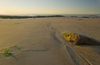 Beautiful view of beach at sunrise with rock details