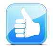 Thumbs Up / Like Button Thumbs Up / Like Button
