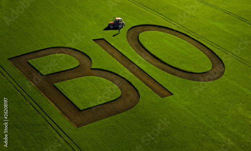 Photo: agriculture agriculture