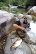 Photo: Pêche à la mouche en rivière Pêche à la mouche en rivière