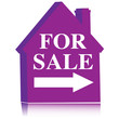 home for sale.Vector