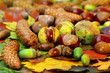 Photo: Früchte des Herbstes Früchte des Herbstes