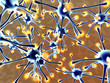 Neuronales Netzwerk