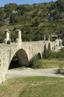 ponte gobbo