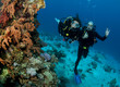 scuba divers having fun and give OK sign