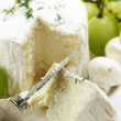delicatessen cheese