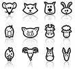 Domestic animals