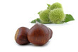 châtaignes et marrons
