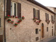 finestra adorna di fiori finestra adorna di fiori