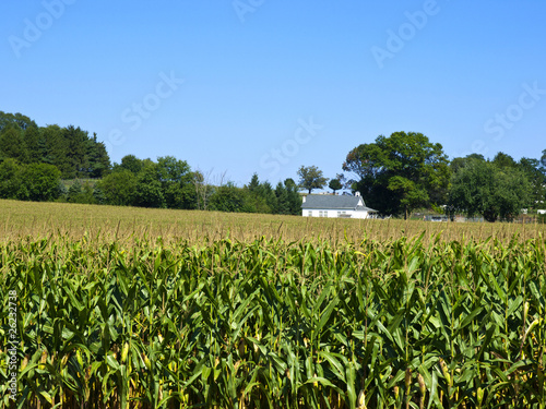 Photo: Amish Farm, Lancaster USA Amish Farm, Lancaster USA