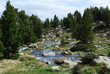 Rio de Montaña (Pessons, Andorra)
