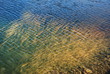 Vegetación en Lago Alpino (Tristaina) Vegetación en Lago Alpino (Tristaina)