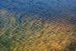 Vegetación en Lago Alpino (Tristaina) Vegetación en Lago Alpino (Tristaina)