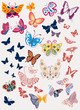 Stylized Butterflies Collection