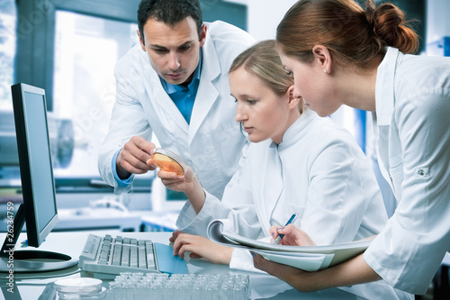 Foto: group of students working at the laboratory group of students working at the laboratory