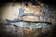 Photo: pike pike