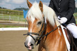 Foto: Pferd und Reiterin beim Reitturnier Pferd und Reiterin beim Reitturnier