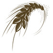 Vector: wheat isolated wheat isolated