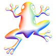 Grenouille multicolore