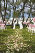 Rose path prepared for a wedding Rose path prepared for a wedding