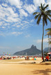 rio