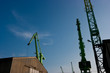 crane