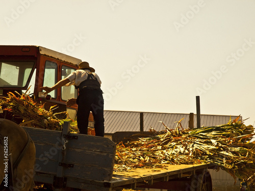 Photo: Amish Farmer Amish Farmer