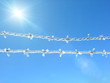 Barbed wire covered with snow