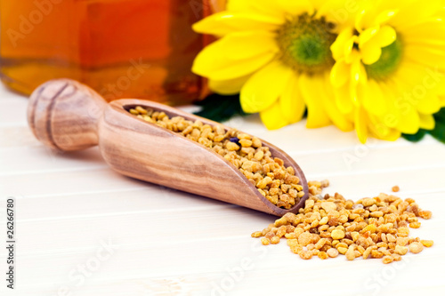 Foto: Grains de pollen Grains de pollen