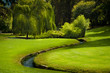park with small river park with small river