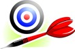 Illustration: Sports tools with bull and target Sports tools with bull and target