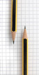 Two yellow and black pencils laying on sheet Two yellow and black pencils laying on sheet