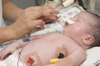 Newborn and hand