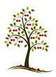 cherry tree