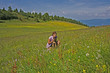 Alpe di Siusi