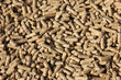 animal feed animal feed