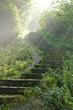 treppe