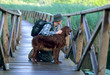 Giovane con Setter Irlandese Giovane con Setter Irlandese
