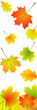 [V] falling leaves