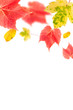 background frame
